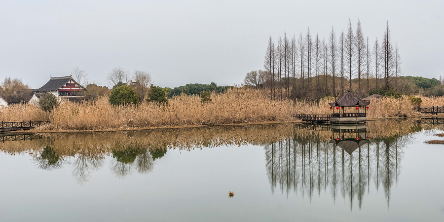 【沙家浜映畫:2019年春節(jié)拍攝于常熟市沙家浜蘆葦蕩風景區(qū)攝影圖片】風光