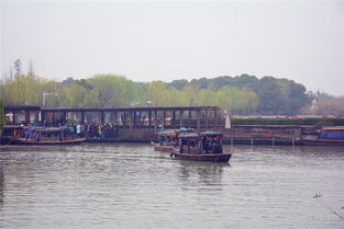 蘇州博越車友會(huì)常熟分會(huì)沙家浜踏青游 春風(fēng)十里，車友情深