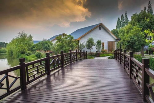 豐收季，鄉(xiāng)村游 常熟沙家浜，不止稻香魚(yú)肥